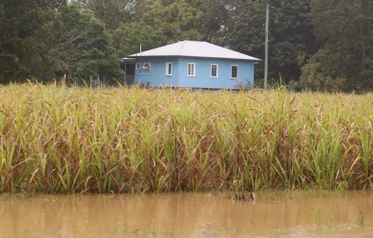 Screenshot 2022-10-05 at 11.38.13 am.png