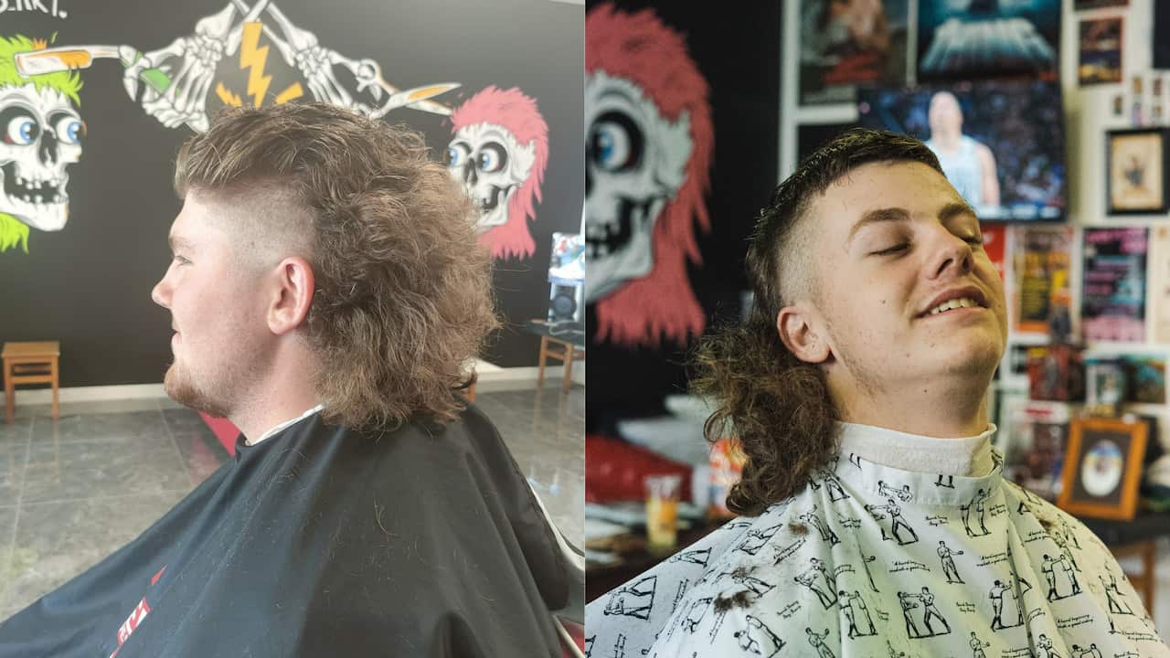 Split image of two mullets 