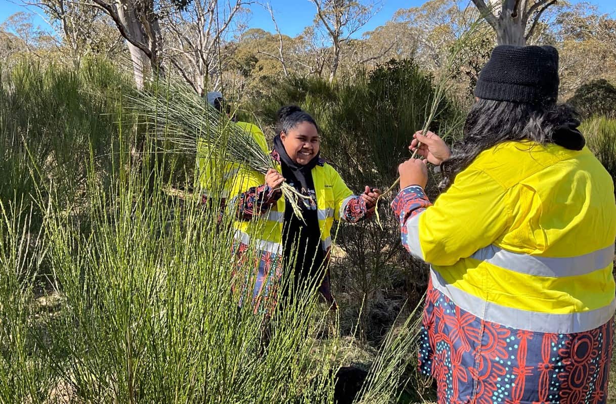 Annotation 2023-09-12 103632.jpg