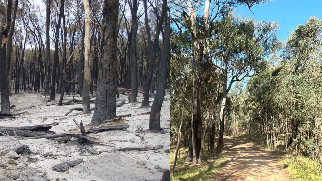 Untitled design (1).png