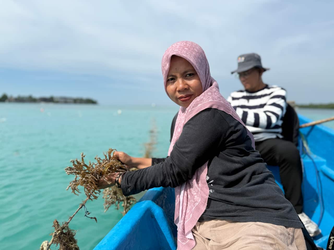 Ibu Asmania pulls bleached seaweed crops out of the water. 