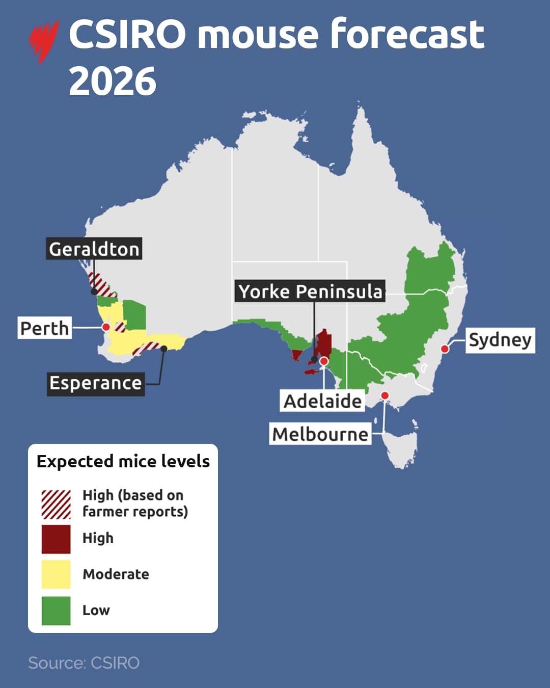 Graphic art of a map of Australia with areas shaded to indicate large mouse populations