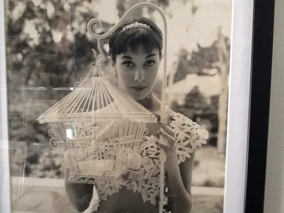 Terry Paliani 6 Bird cage, foto di Terry del 1957 scattata a Melbourne dal famoso fotografo Athol Smith..jpg