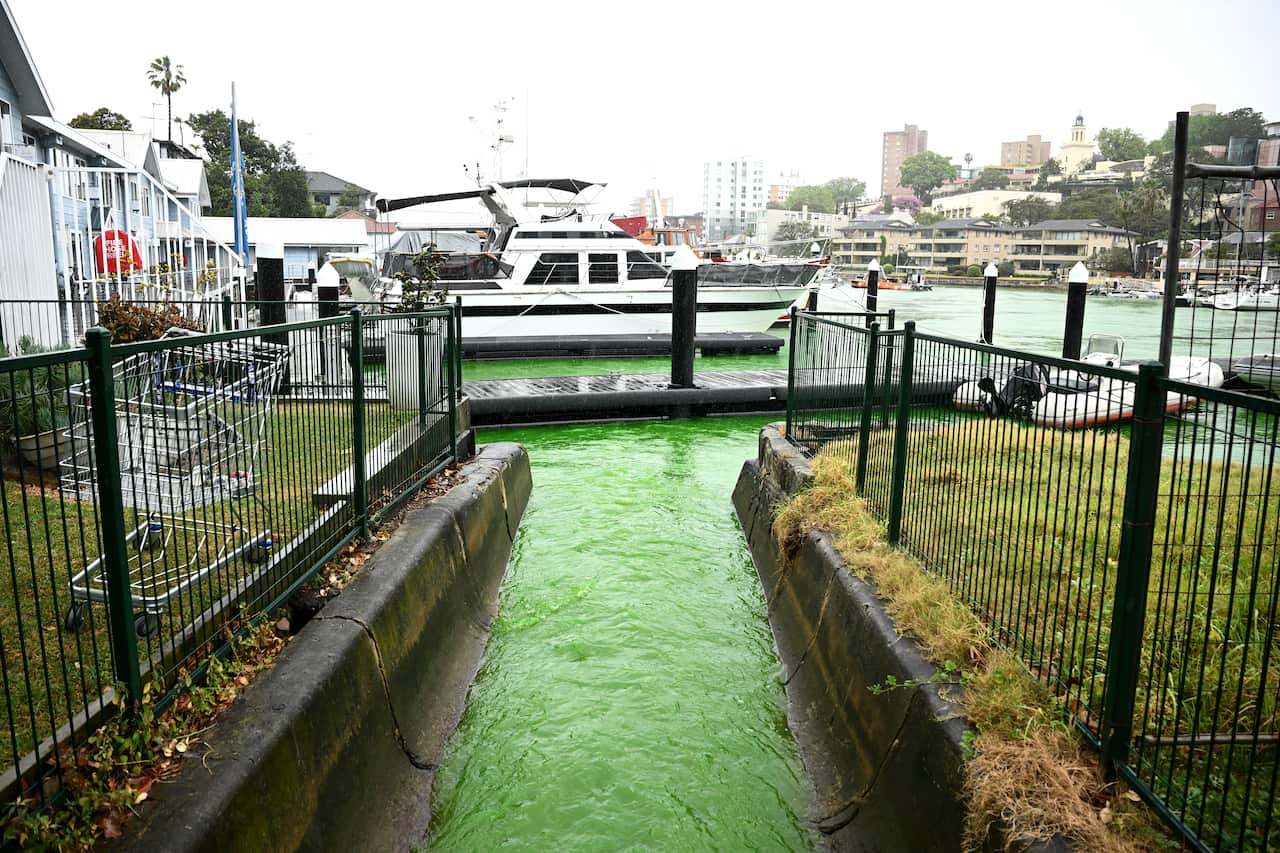 GREEN WATER KIRRIBILLI