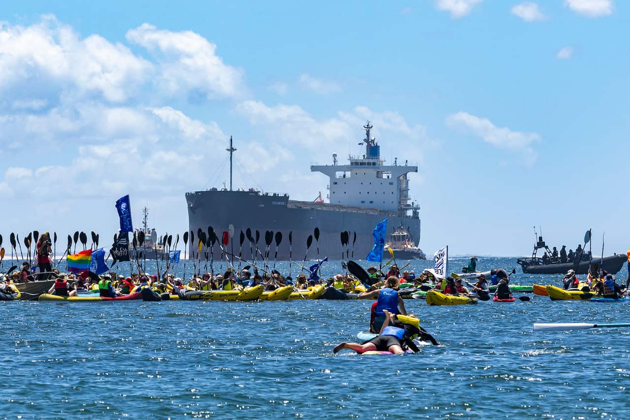 People on kayaks paddle into a harbour, with a ship in the distance. 