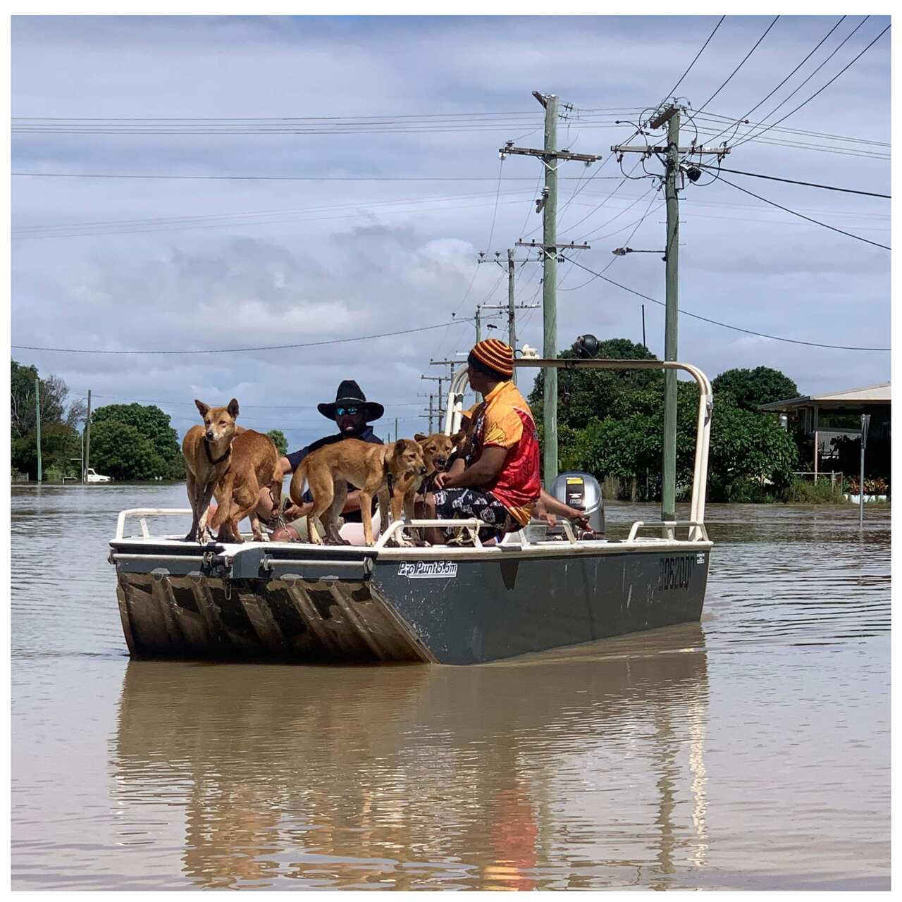 Two men steer a boat through floodwaters with dogs on board. 