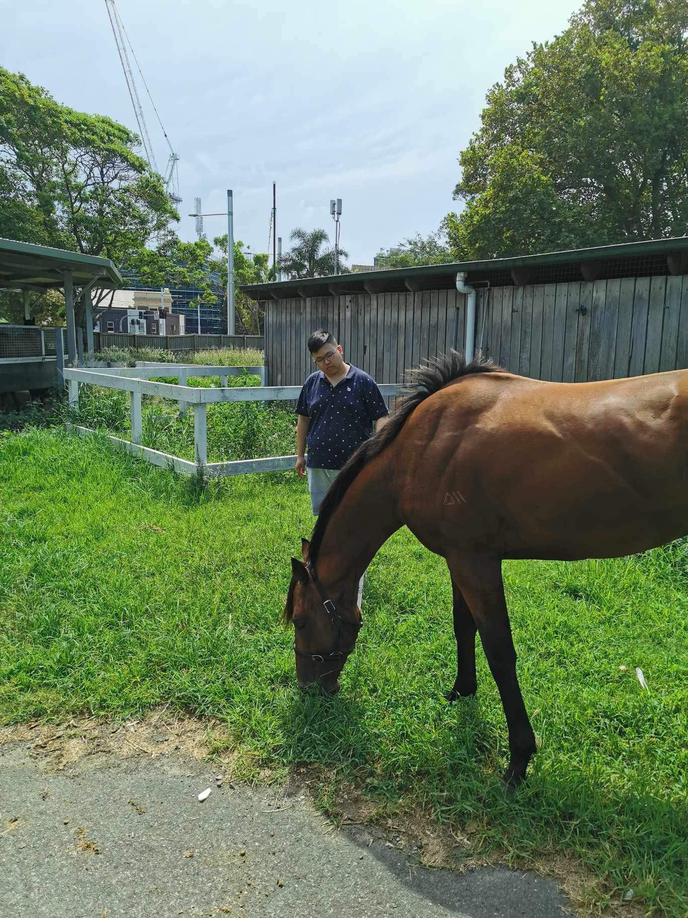 351c09df-a5ce-48d9-8e62-98592e08de8e.jfif