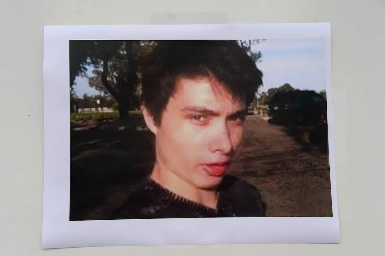 A young man with brown hair.