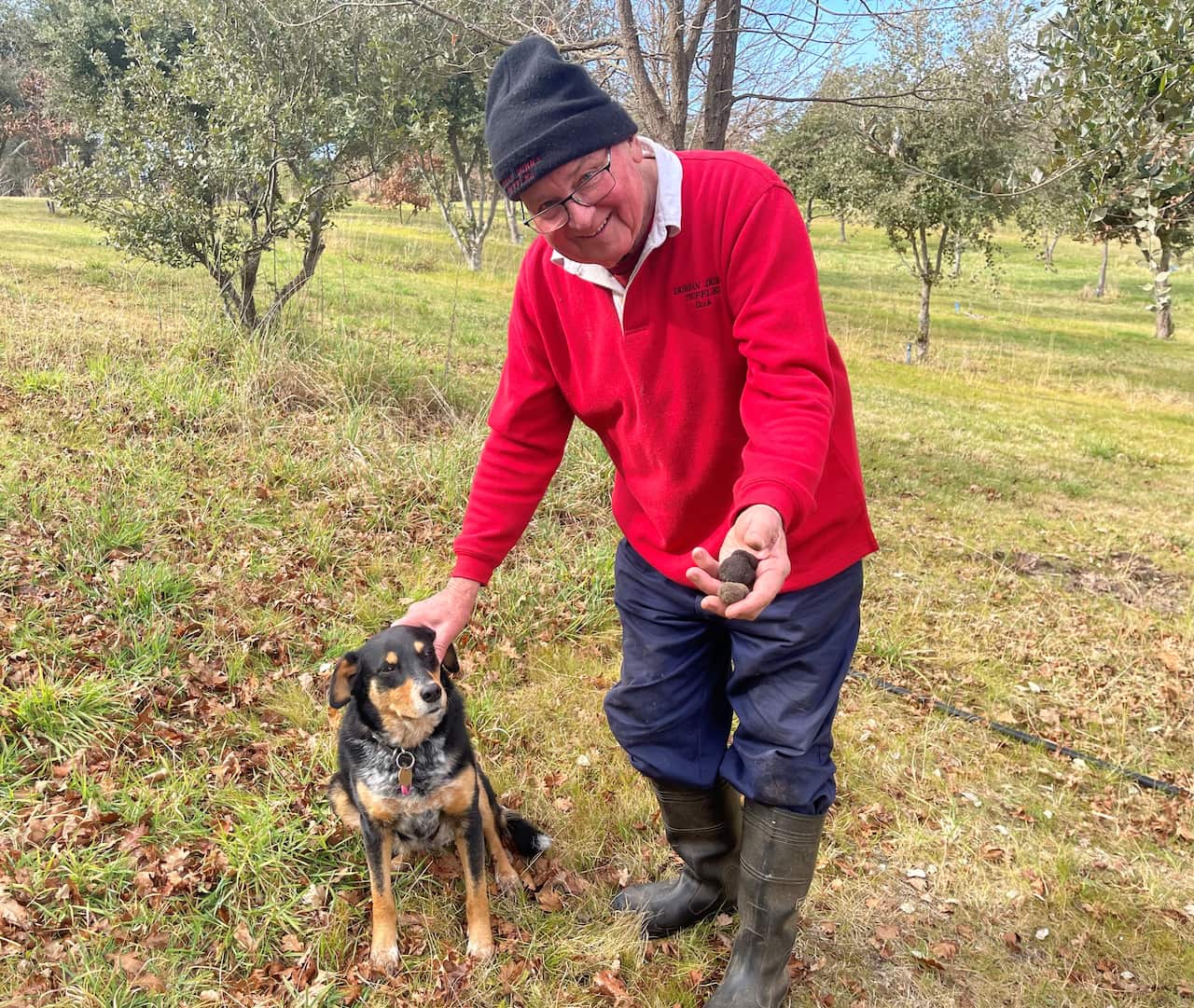 Truffle farmer Dick Groot Obbink with his rescue dog Bella 