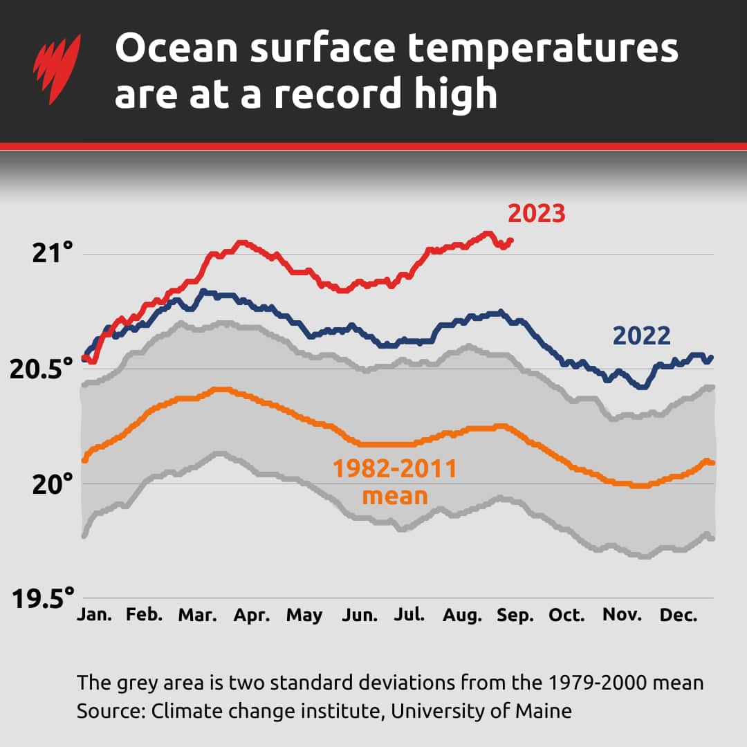 A graph showing that ocean surface temperatures are at a record high