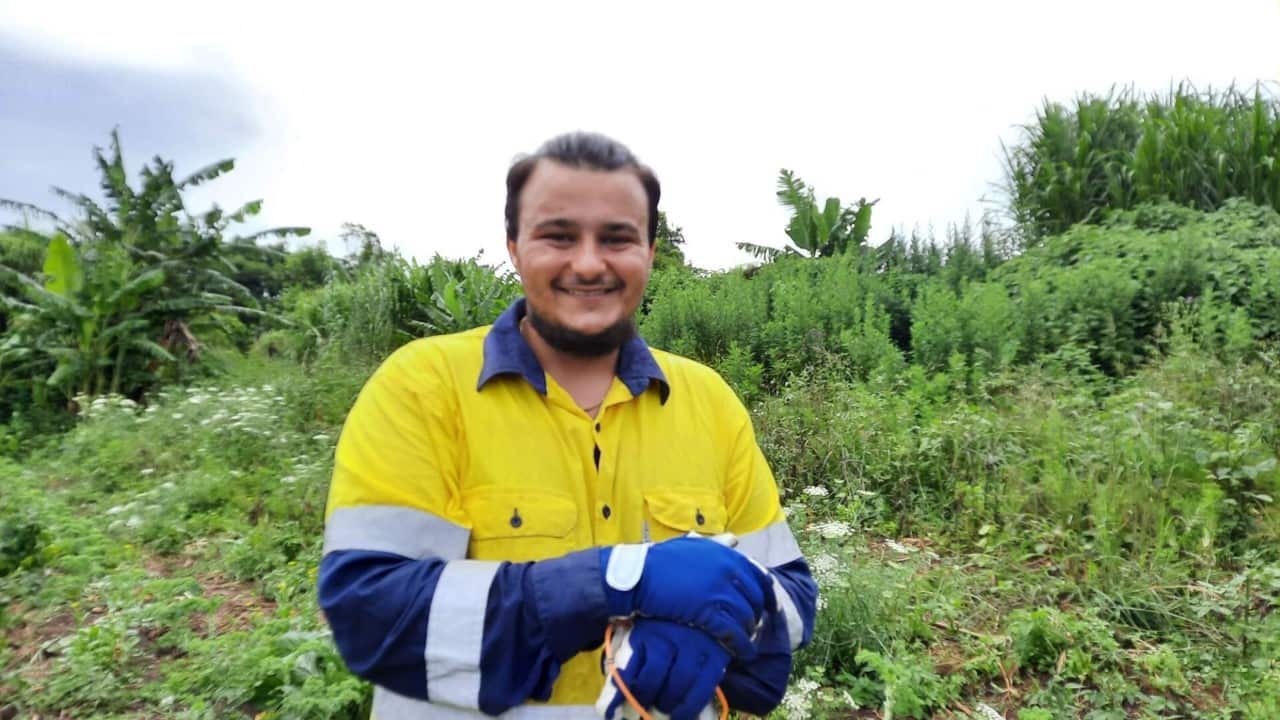  Harley, working on the farm.
