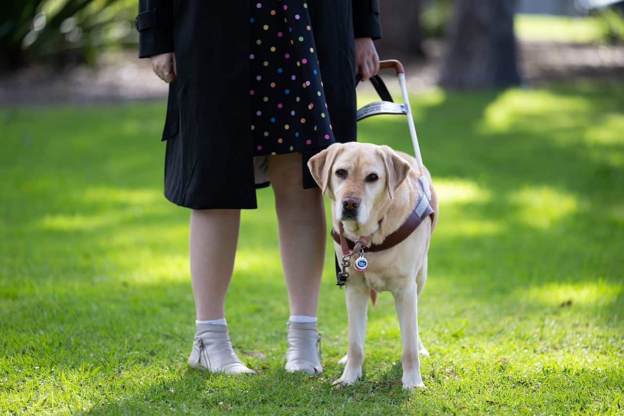 SEEING EYE DOGS KIRSTEN BUSBY