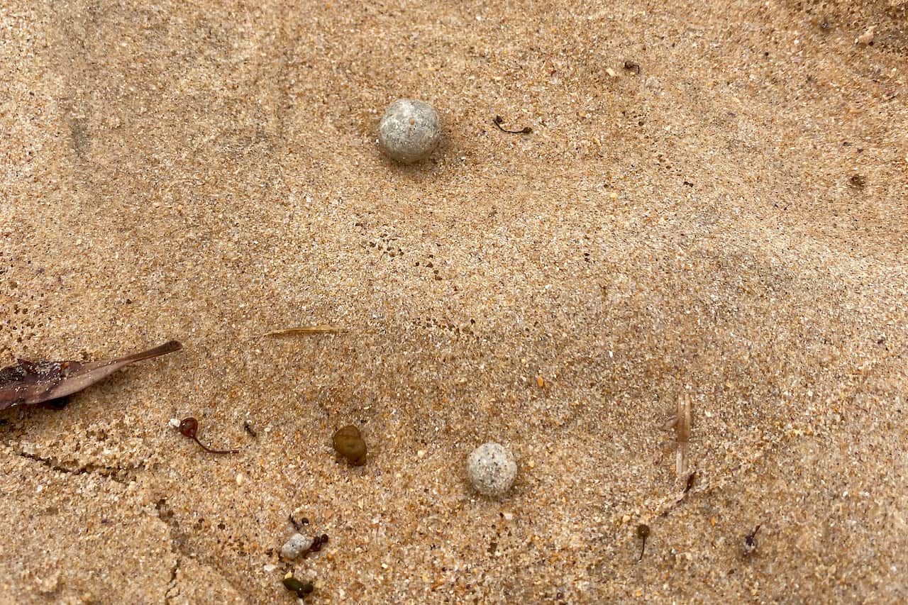 Unidentified ball-shaped debris