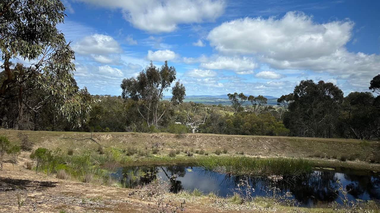 SALAH ALRUBAIE 5.jpg