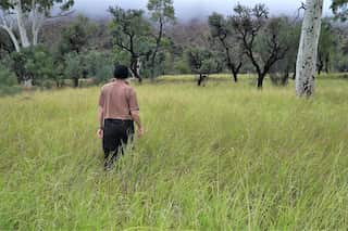 A woman with her back turned stands amid buffel grass on her property.