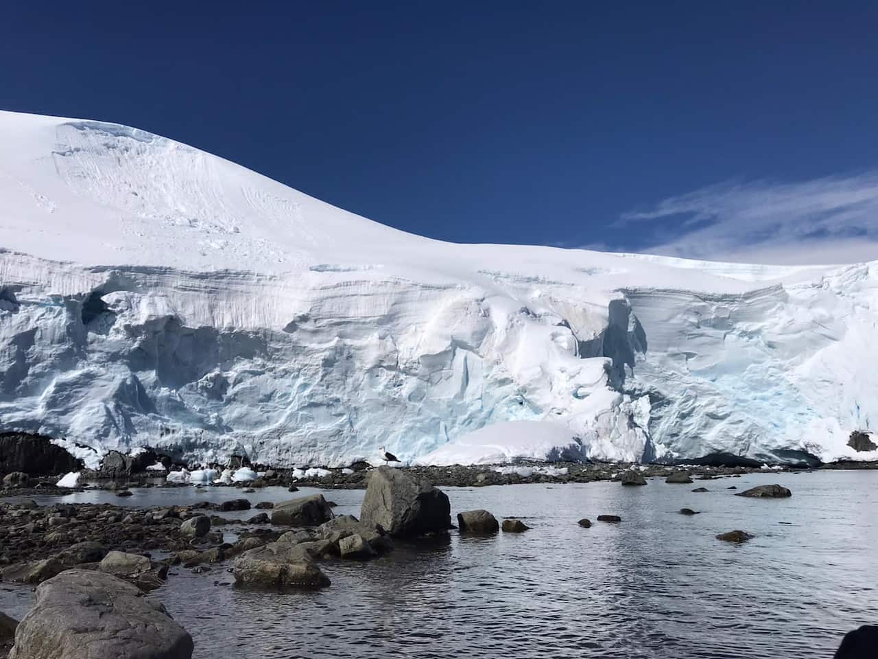 PHOTO-2023-03-23-15-49-16 5.jpg