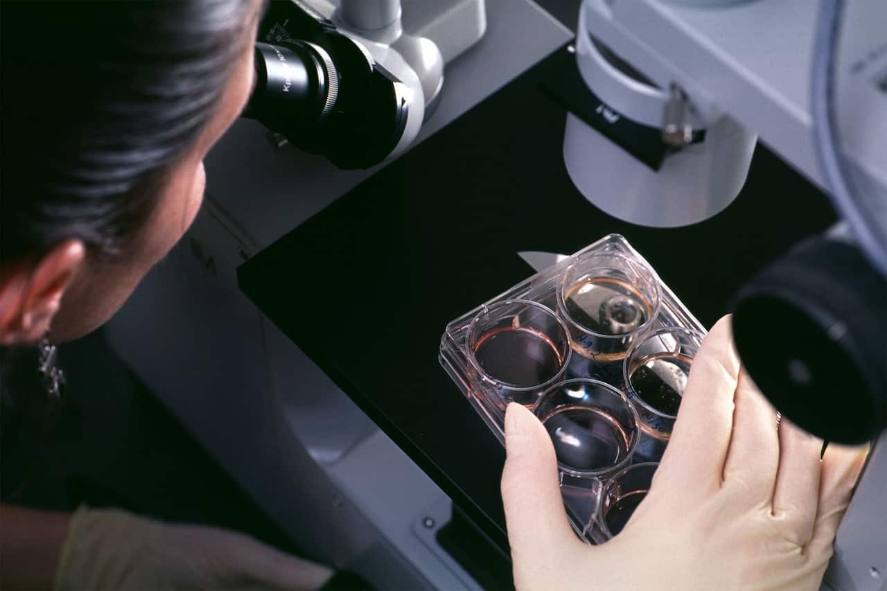 A person looks through a microscope.