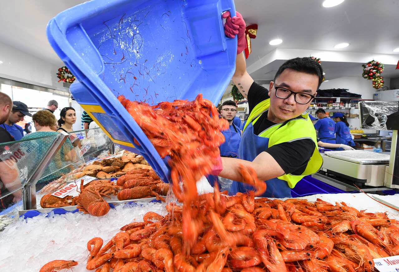 A man holding a large bucket of prawns adds them to a display at the fish markets