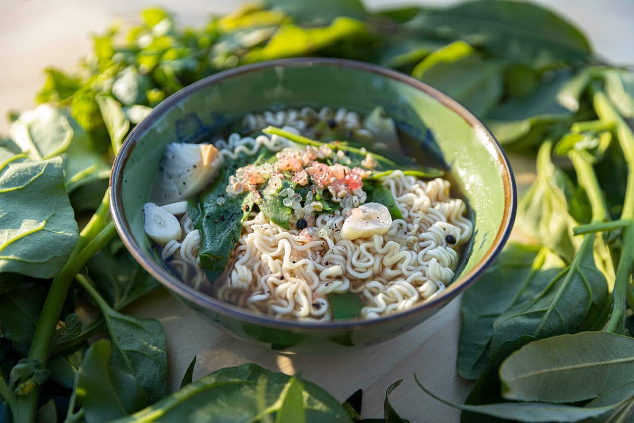 A vibrant green pottery bowl wiht a brown rim holds soup and noodles. The bowl is nestled among green leaves.