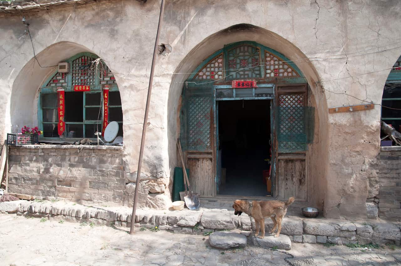 A dog in front a Chinese cave house