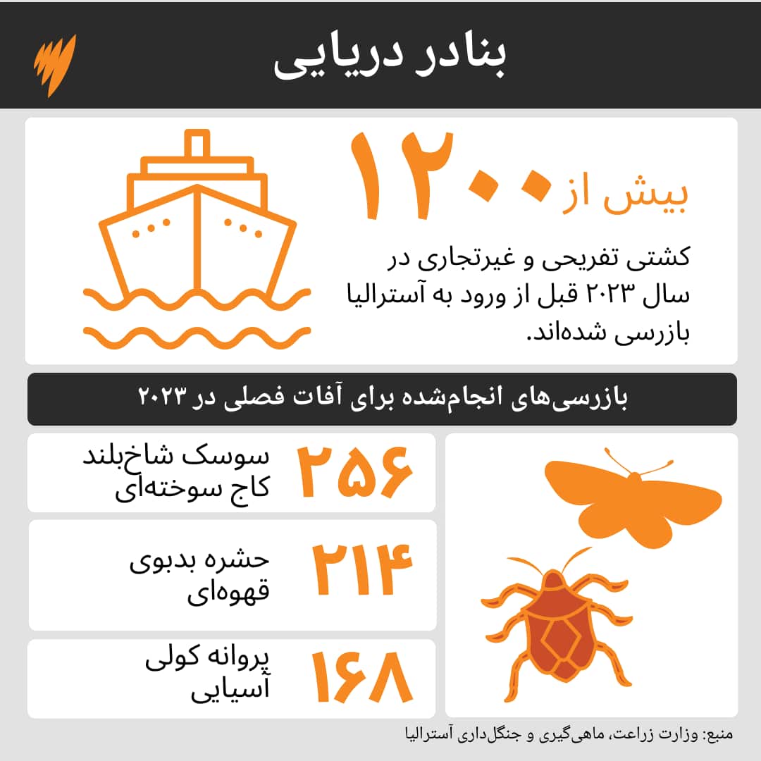 WEIRD ITEMS SEIZED GFX 3.png