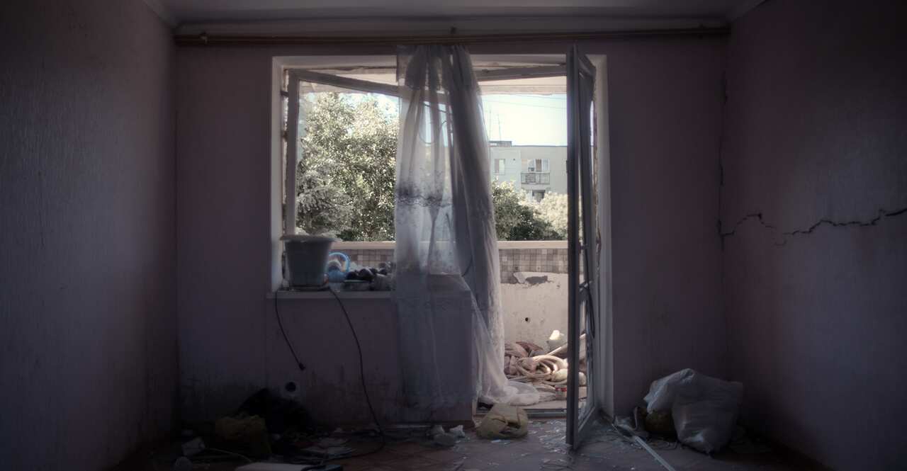 The Cranes Call - Still 14 copy.jpg