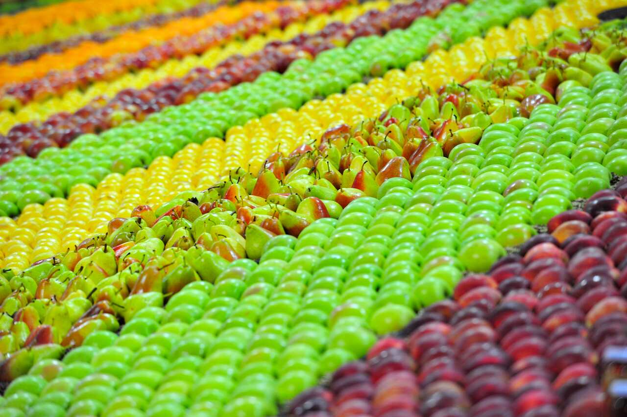 SYDNEY ROYAL EASTER SHOW
