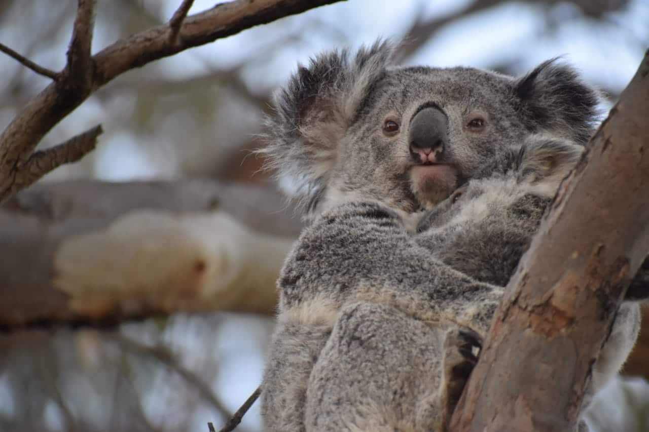 WhatsApp Image 2023-05-12 at 09.27.05.jpeg