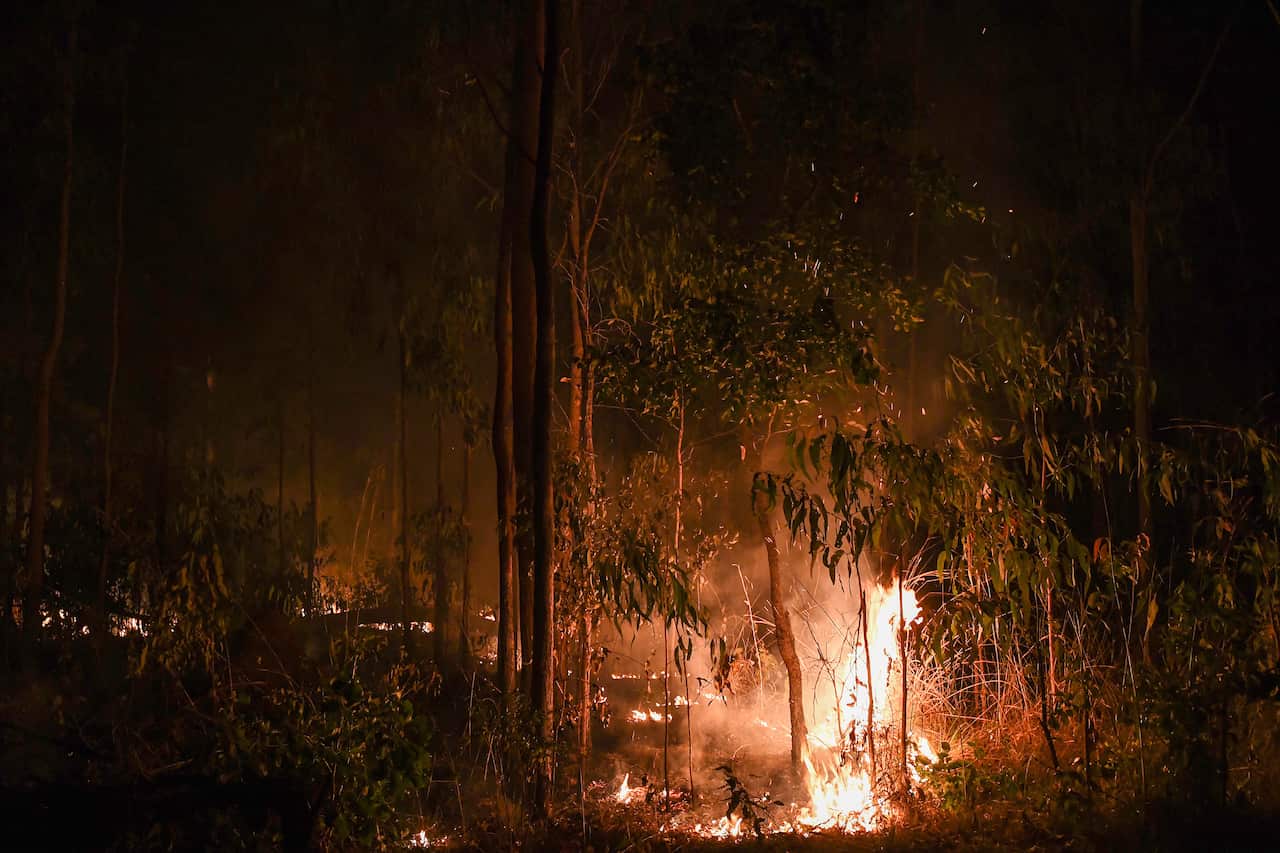 A small fire burning in a forest