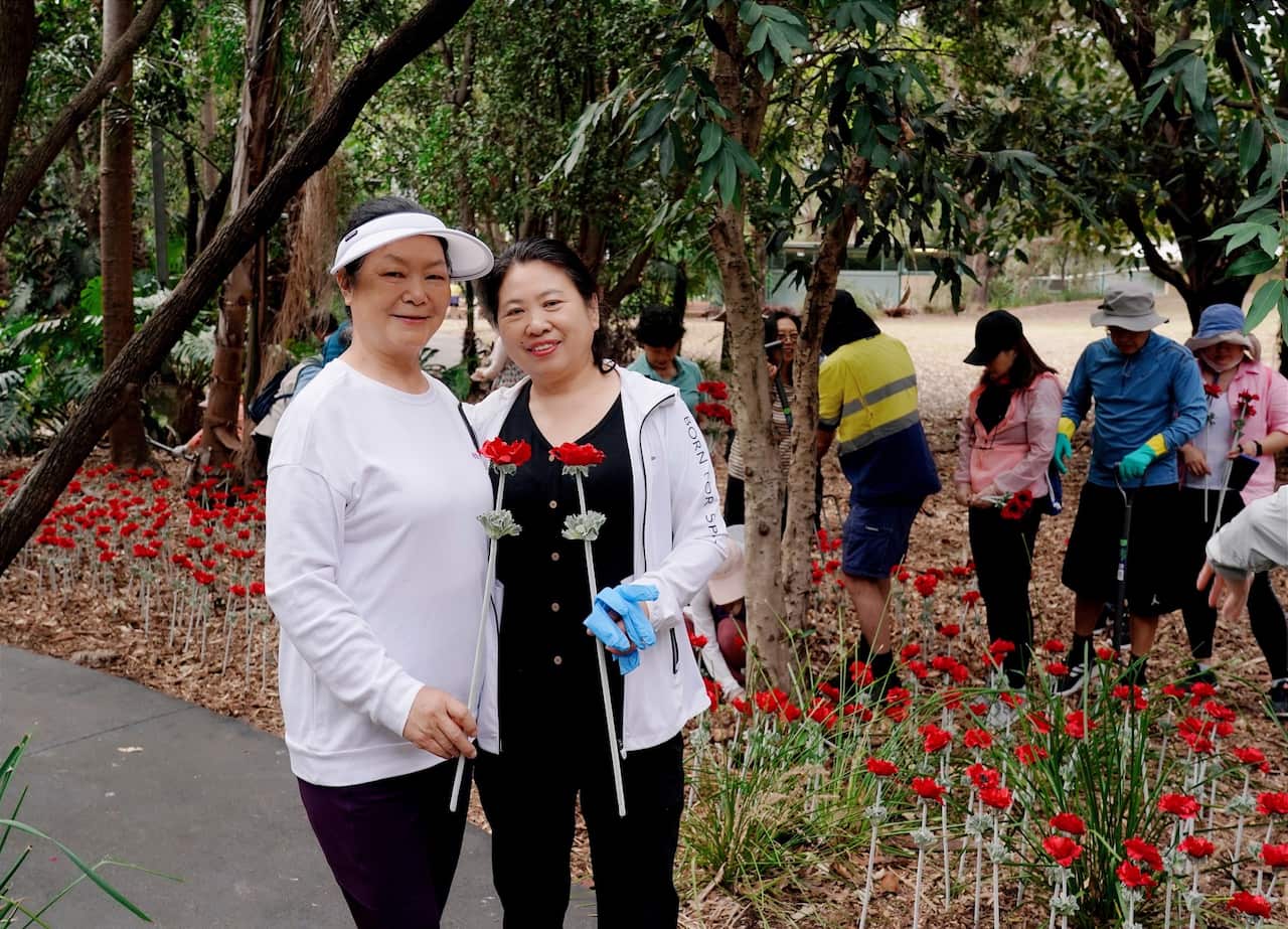 Ms Han (left)and her friend helping to plant poppies.jpeg