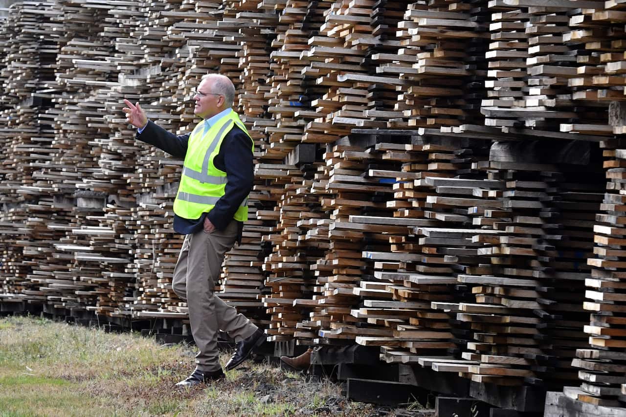 Scott Morrison standing in front of timber stockpiles
