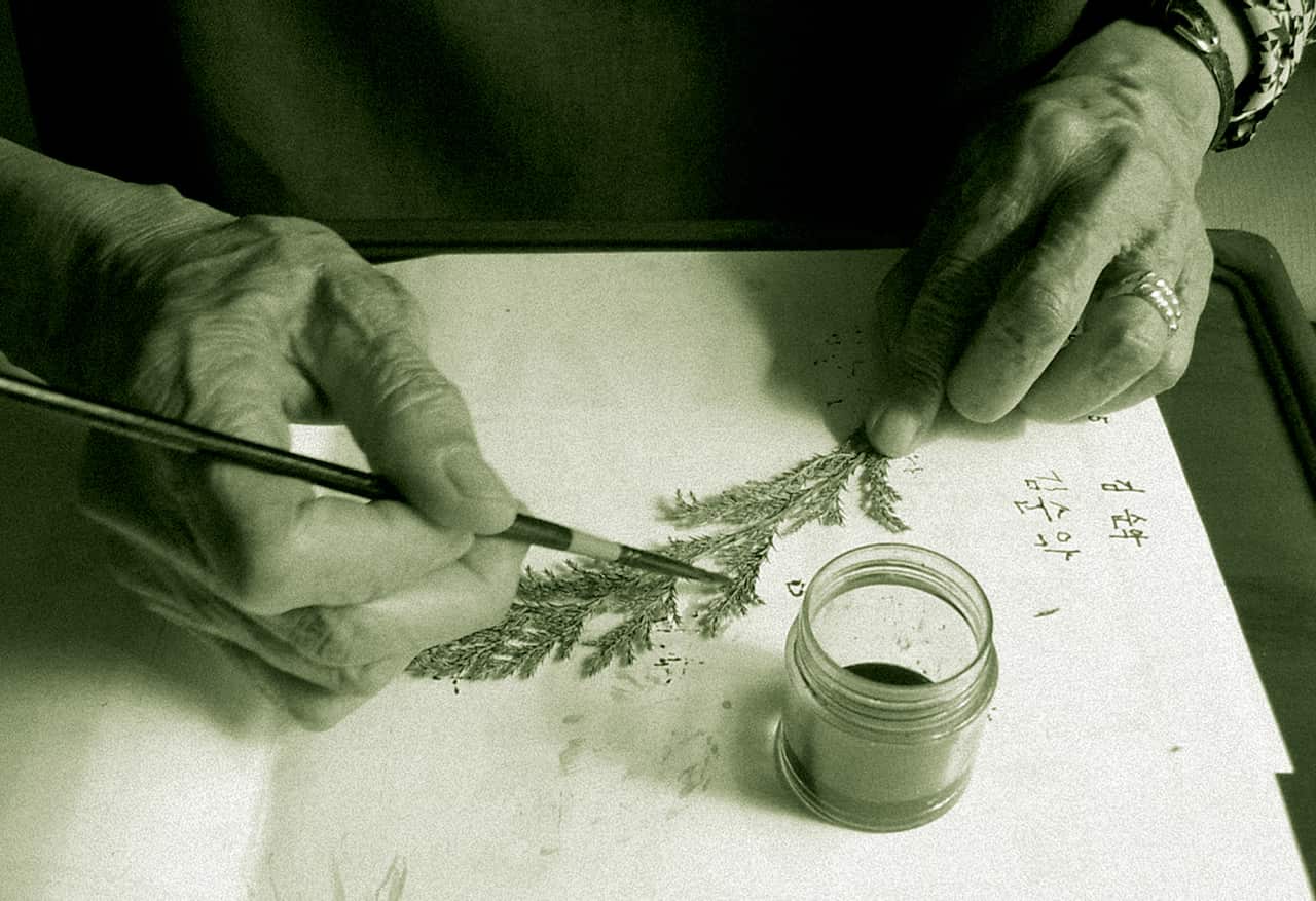 보도스틸 8.jpg