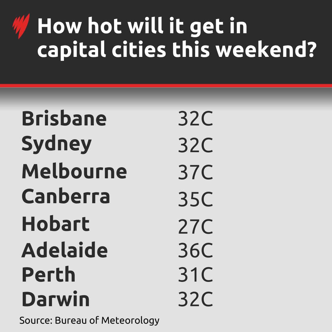 List showing temperatures forecast for each capital city.
