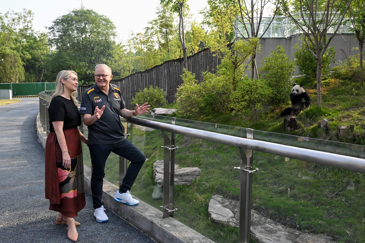 A couple stand on the edge of a glass fence, with a panda on the other side.