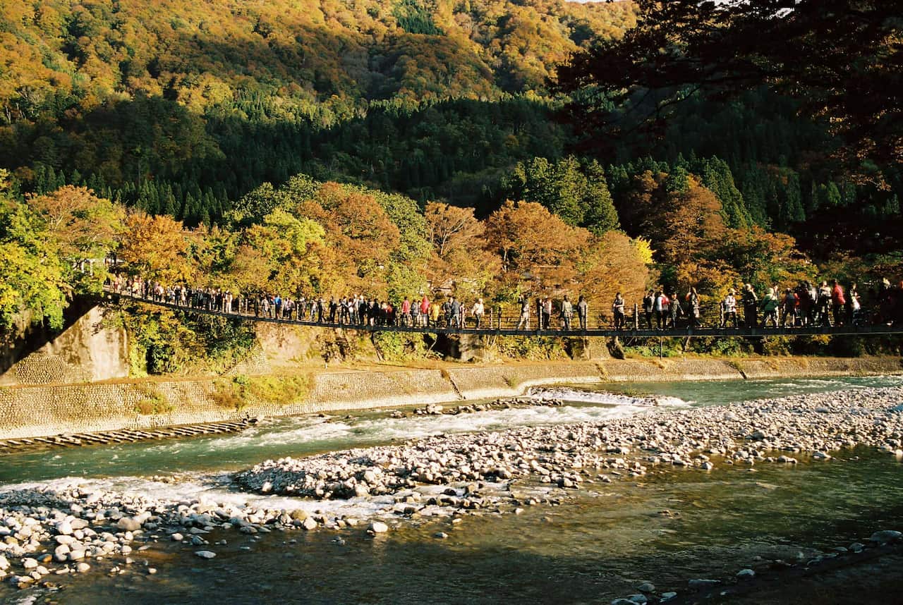 550470546_1756597048330027_8741048310993381942_n (1).jpg