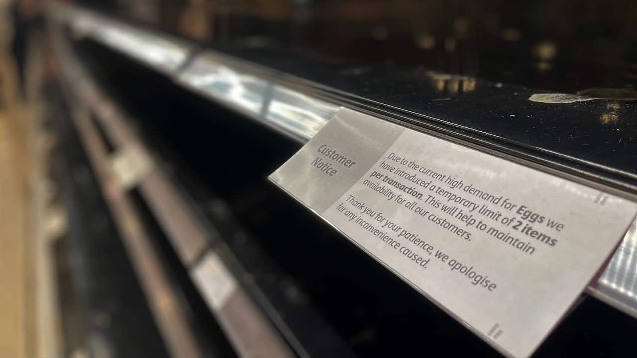 Empty shelves with a sign detailing limits on egg purchases.
