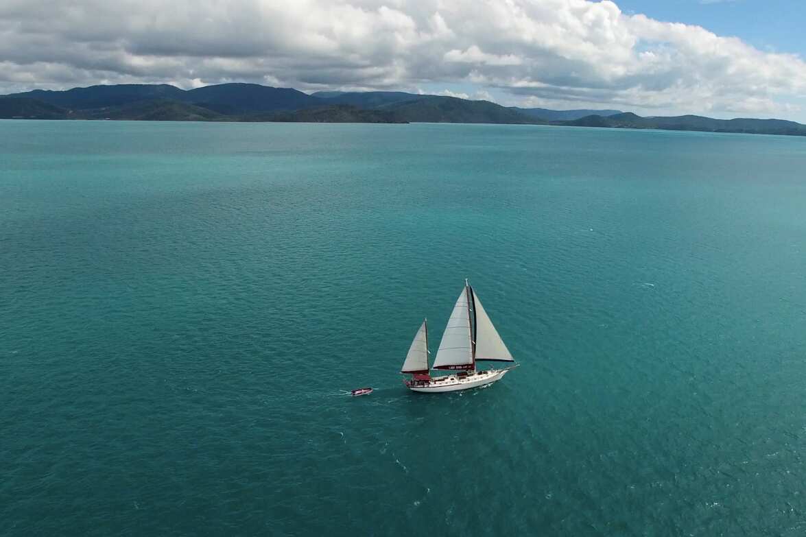 ELECTION16 FIGHT FOR THE REEF