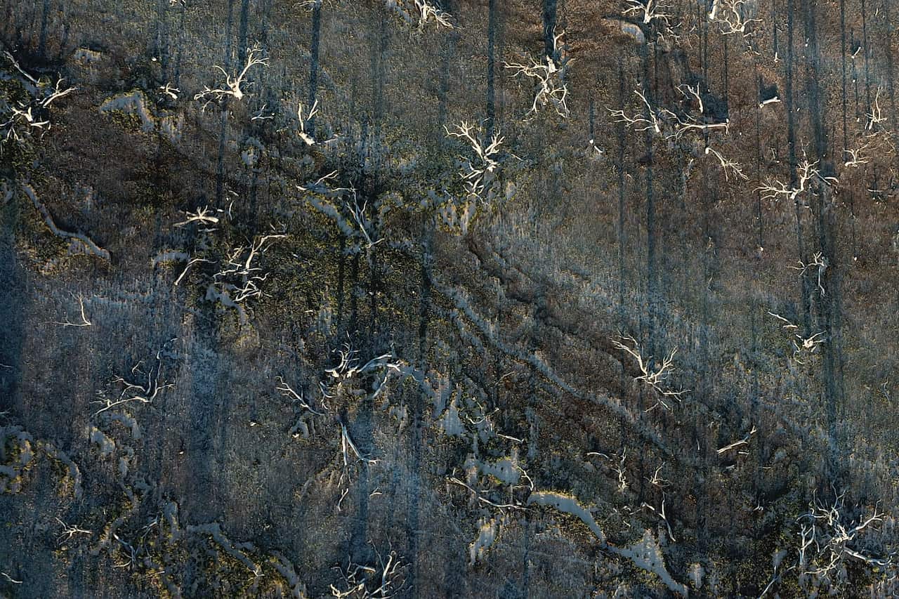 MENINDEE POONCARIE DROUGHT FEATURE