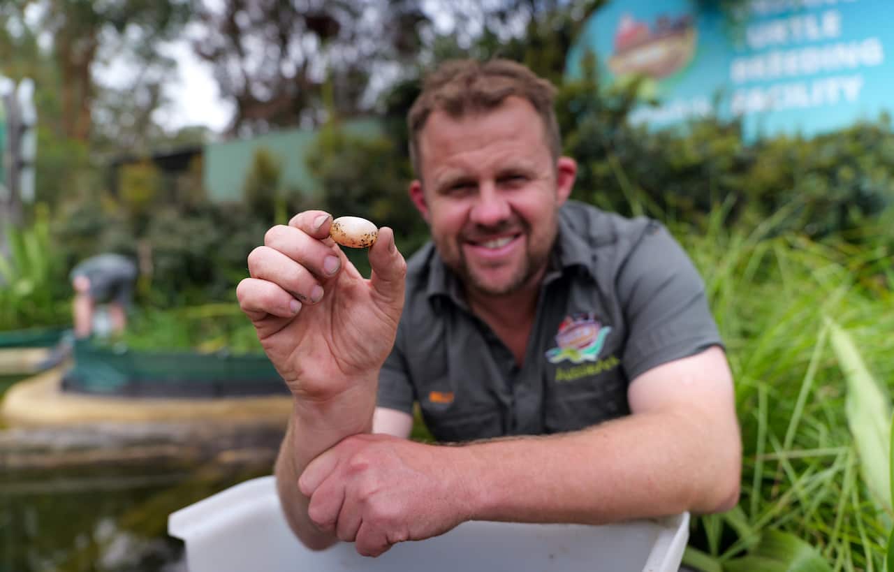 A man holding a small egg