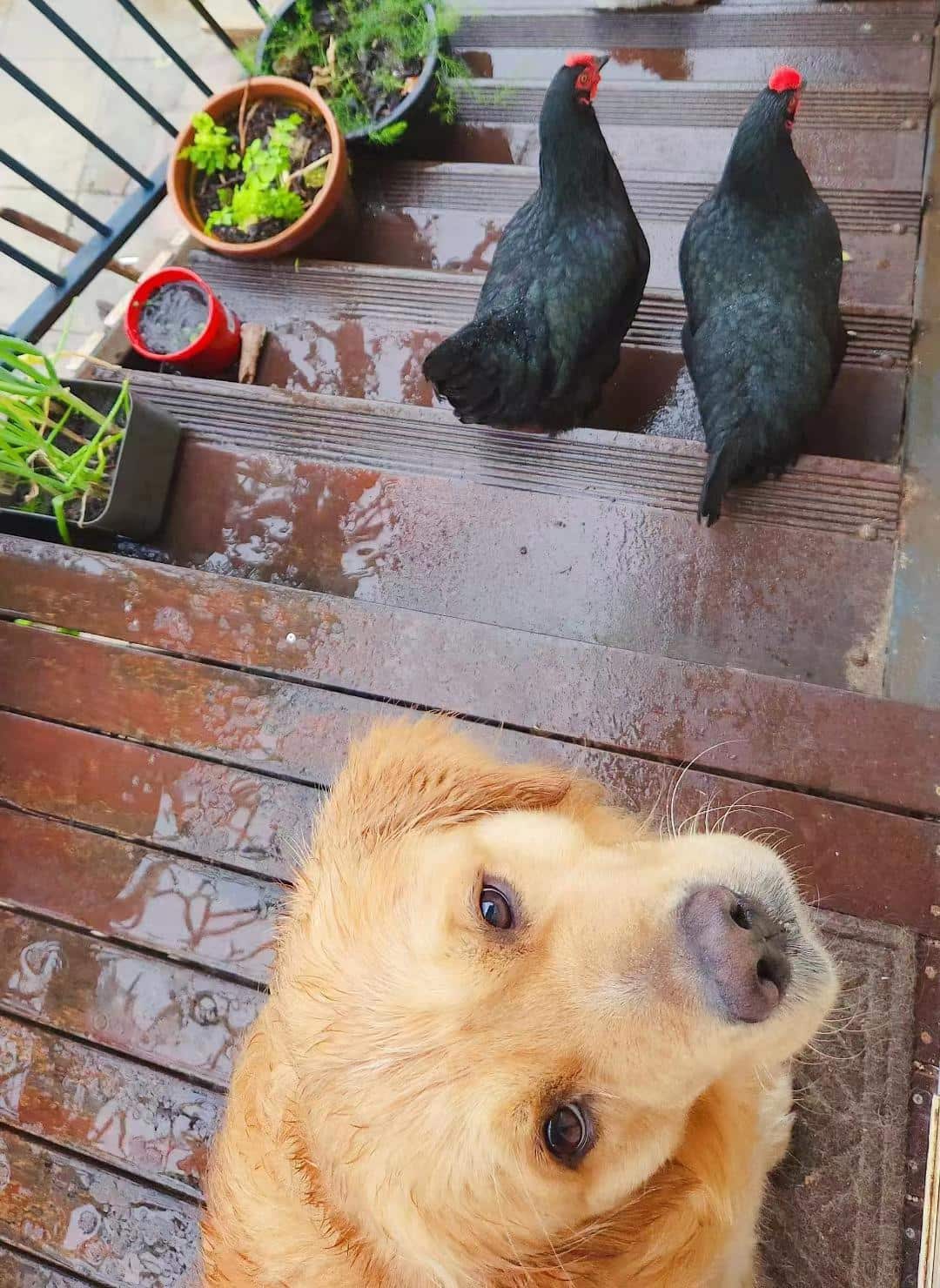 WhatsApp Image 2022-11-16 at 11.00.42 AM.jpeg