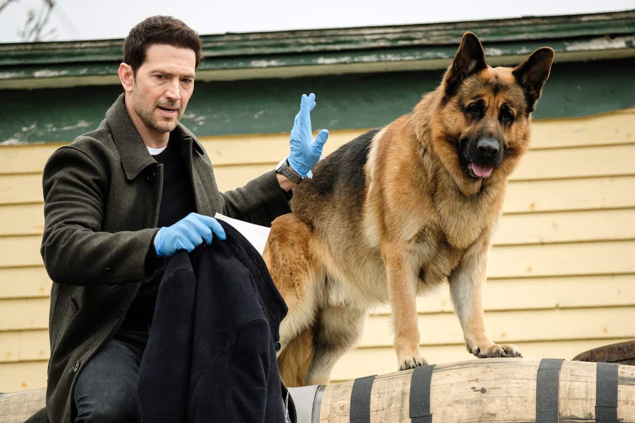 Luke Roberts as Detective Mark Hudson alongside Rex.