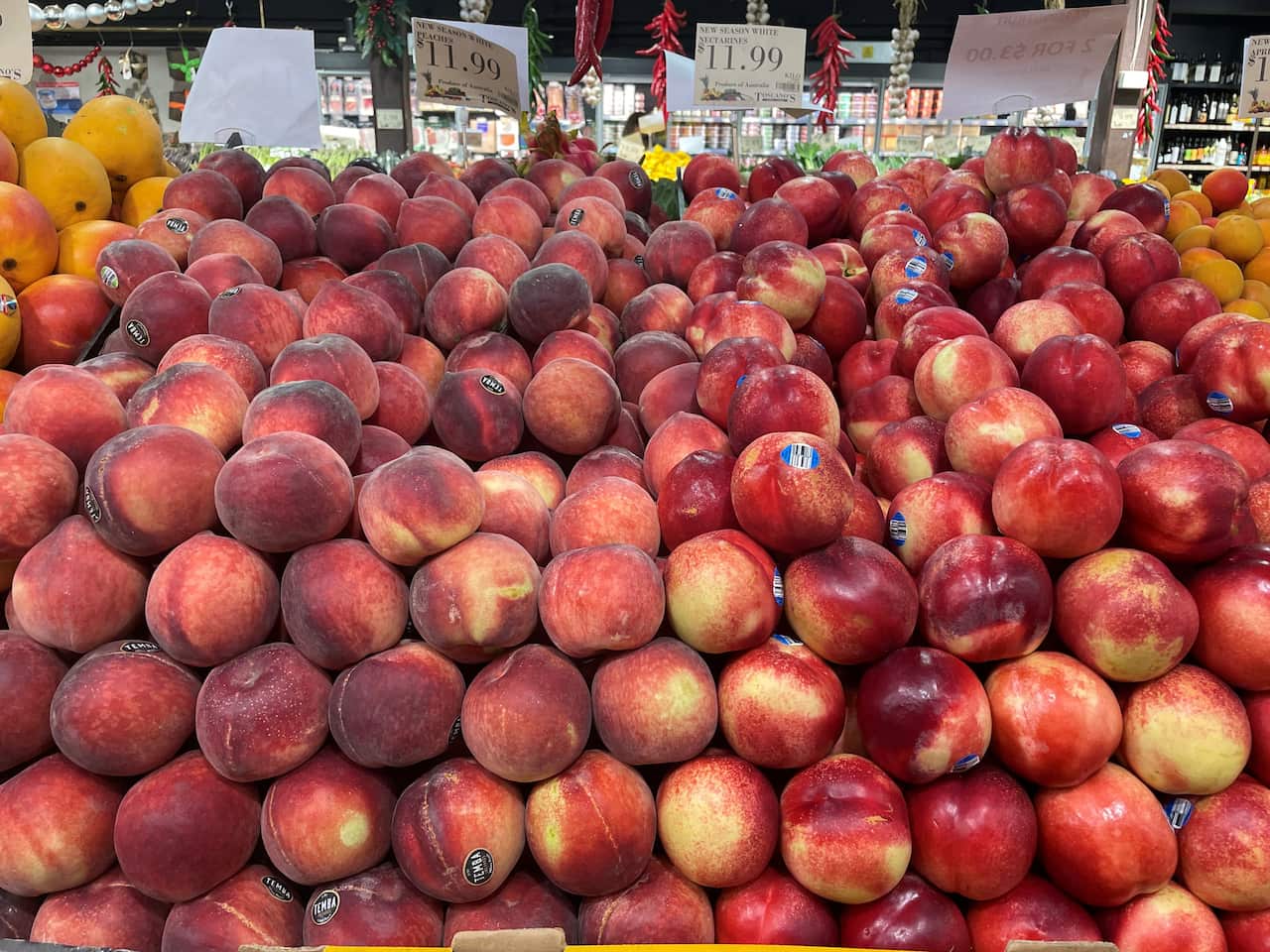 Tomaru137 peaches and nectarines.jpg