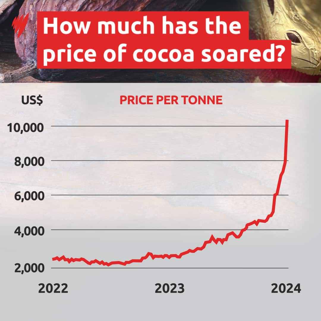 A graph shows the cocoa price increase per tonne from 2022 to 2024.