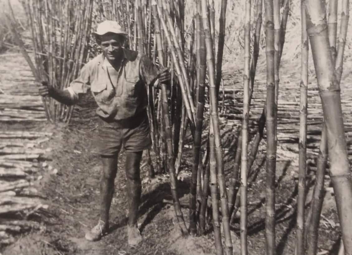 1954 Ezio Farotto, papà di Robert, tagliatore di canna a Home Hill - in Queensland.jpg