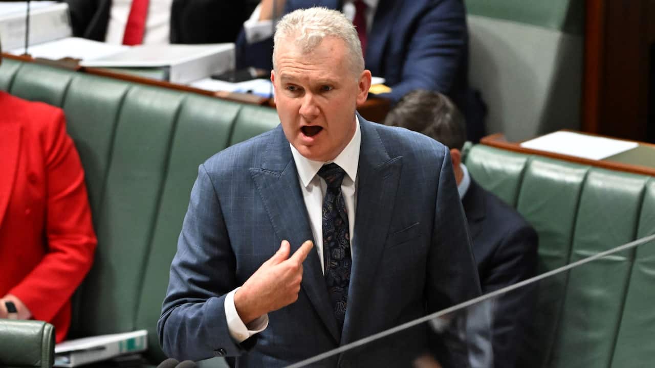 Minister for Employment Tony Burke during Question Time in the House of Representatives at Parliament House in Canberra, Thursday, November 24, 2022.