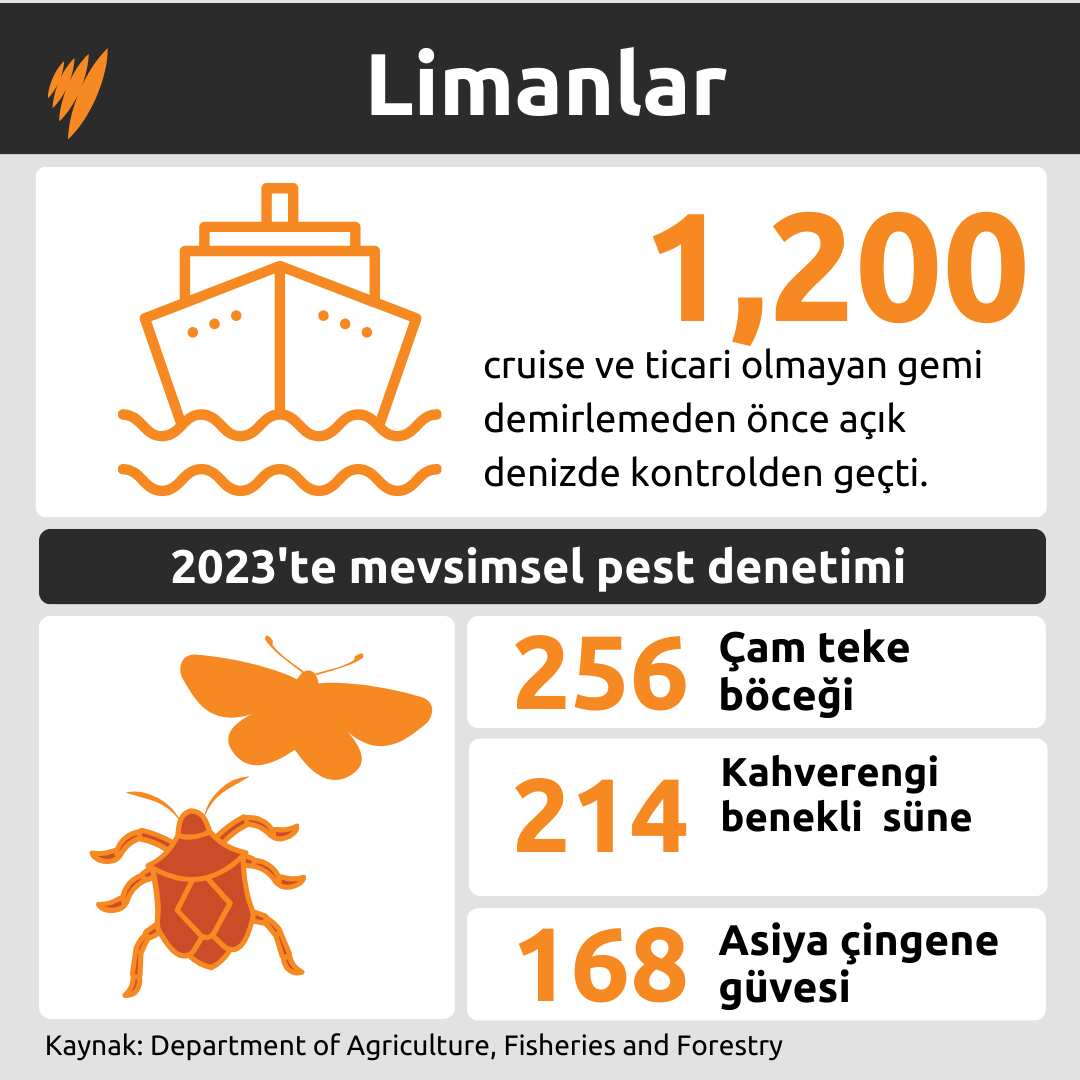 WEIRD ITEMS SEIZED GFX 3.png