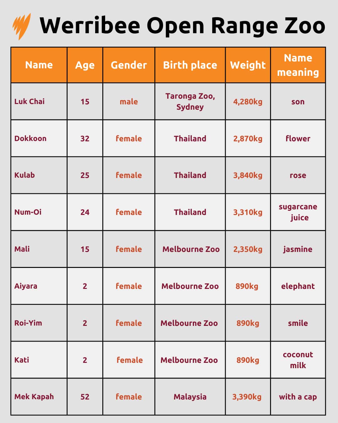 WERRIBEE OPEN RANGE ZOO TABLE GFX.png