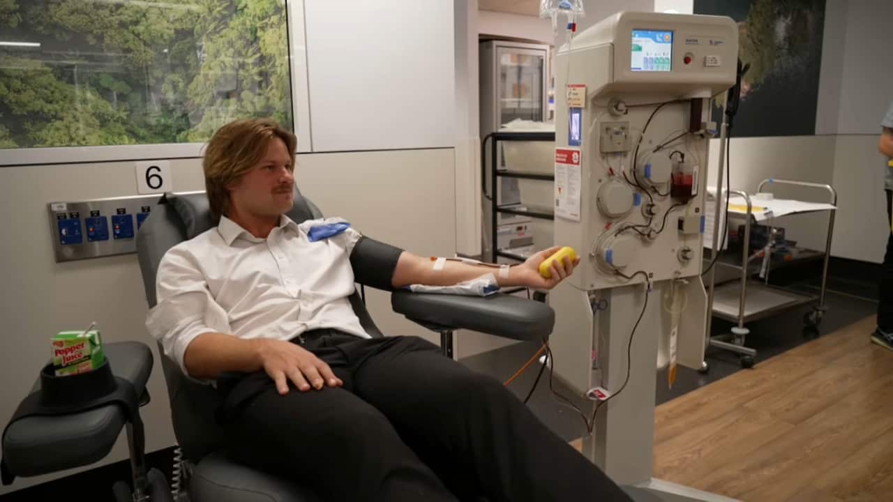 Man in a white shirt with his sleeve rolled, holding a yellow ball in a closed fist. He is hooked up to a blood donation machine