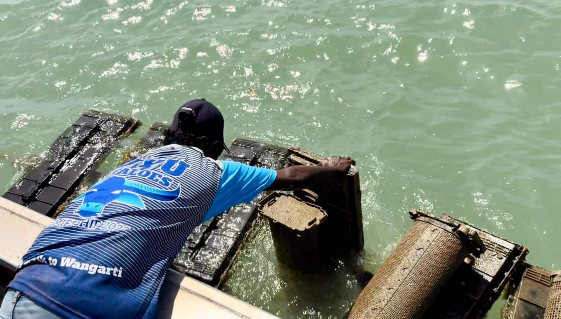 Oyster cages floating in water on the Tiwi Islands. 