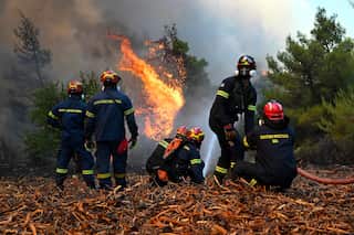 A group of firefighters hold a water hose in front of a large flame in the forest.